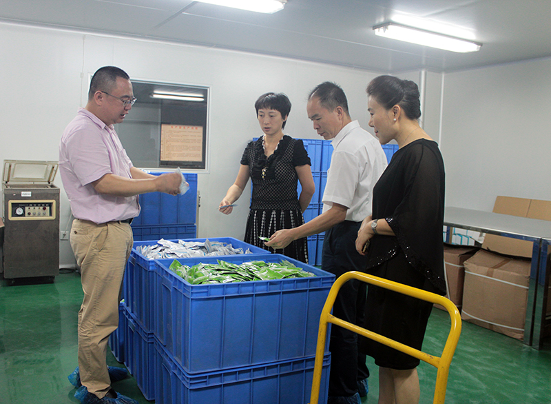 番禺區(qū)麥副區(qū)長一行蒞臨我司指導(dǎo)工作